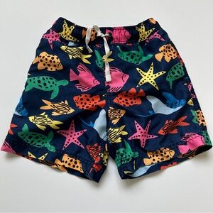 Toddler Size 4 Hanna Andersson Ocean Friends Swim Trunks